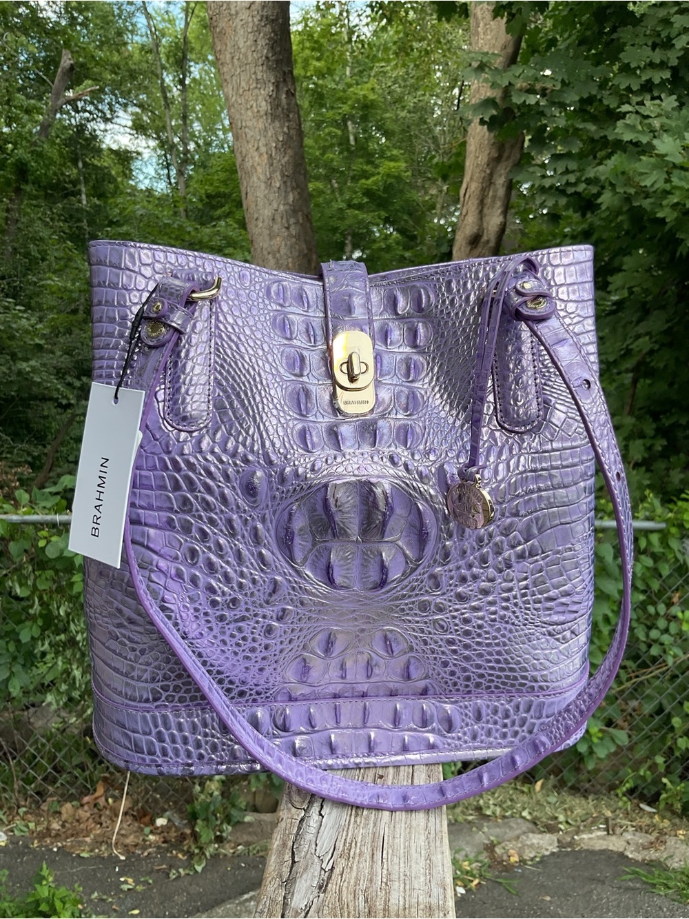 Brahmin Fiora SAMPLE Sheer Lavender Genuine Leather Shoulder Bag NWT - Picture 3 of 17